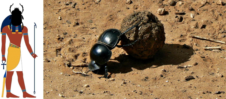 Beetle Scarab Amulet Dung Ball Ancient Egyptian Khepri God
